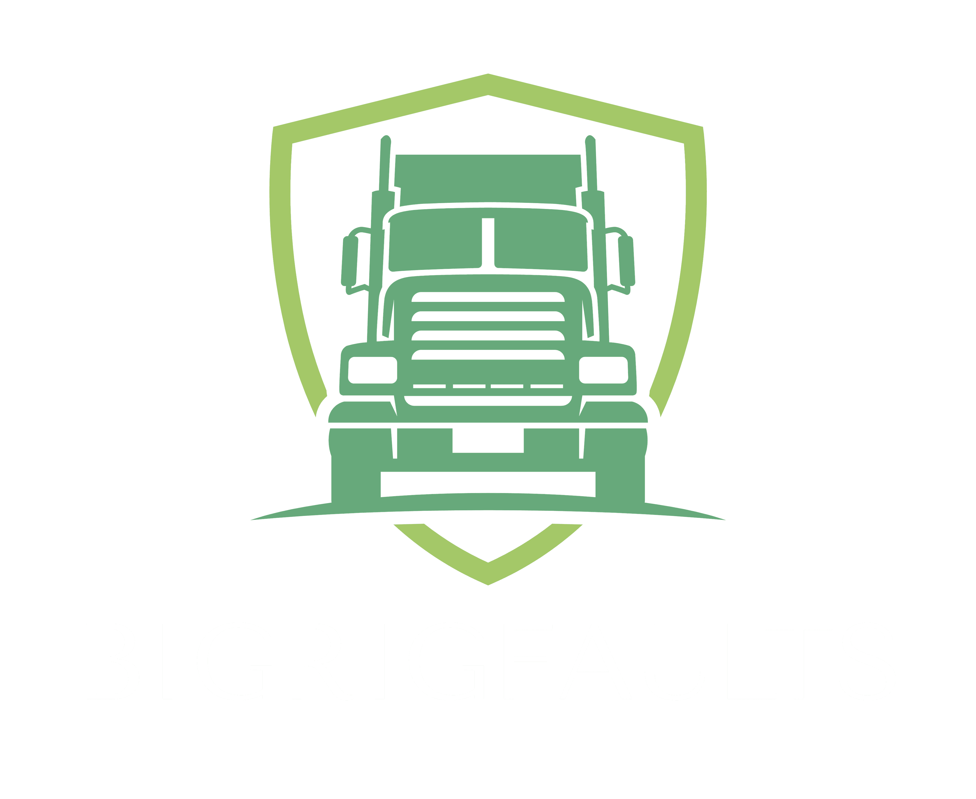BigRigFaults logo
